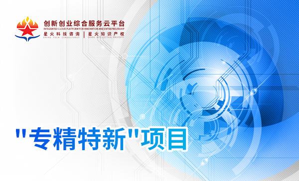 專精特新項目